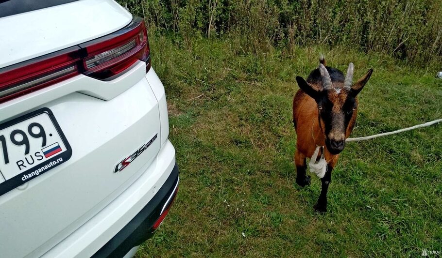 Тест драйв Changan CS35Plus  еще не великий  но уже значительный