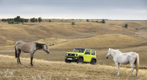 Тест драйв Suzuki Jimny  аскеза звезд