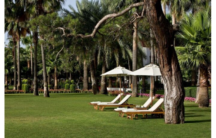 https___ns-clubmed-com_dream_resorts_3t___4t_europe___cotes_mediterraneennes_palmiye_40198-kl0dbfrede-swhr_0-7221813