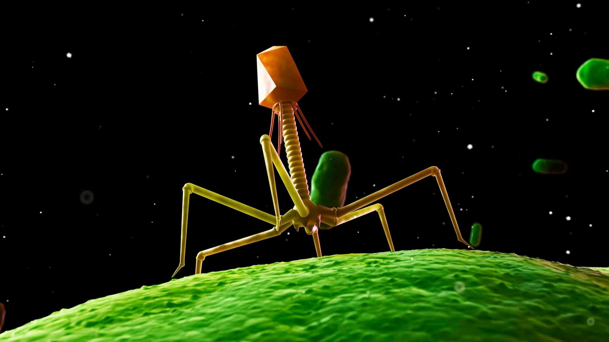 bacteriophage_two-4806751